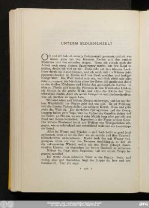 Unterm Beduinenzelt