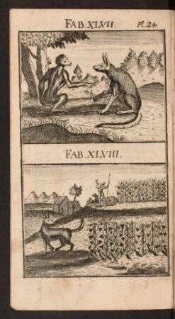Pl. 24. Fab. XLVII. Fab. XLVIII.