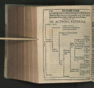 Tabula VI. De Actione Externa