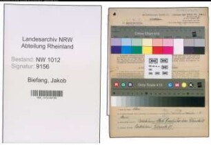 Entnazifizierung Jakob Biefang , geb. 31.03.1903 (Landwirt)