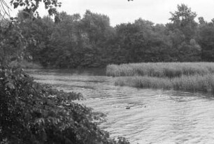 Erstes Karlsruher Naturschutzgebiet "Altrhein Maxau". Vorstellung des Geländes durch Regierungspräsident Dr. Trudpert Müller