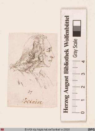 Bildnis Voltaire (eig. François-Marie Arouet)