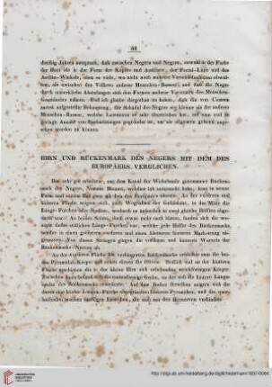 Hirn und Rückenmark des Negers mit denen des Europäers verglichen