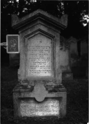 Grabstein 243
