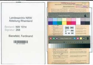 Entnazifizierung Ferdinand Bienefeld , geb. 07.09.1908 (Elektriker)