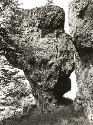Weser-Leine-Bergland. Der Ith. Lüerdisser Klippen. Kelchartige Auswitterungen im Sandsteins