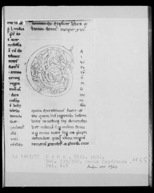 Codex 333/352, fol. 141
