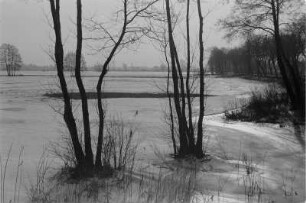 Schneebedeckte Waldwiesen im Spreewald in der Nähe von Dissen : Zasněžene lěsne łuki blisko Dešnja.