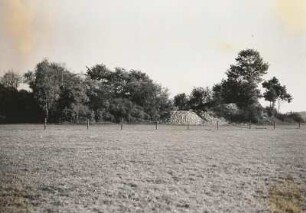 Brohna. Schanze (um 1000). Grabung 1951