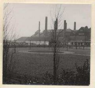 Homburg, Pfalzwerke, Liegewiese