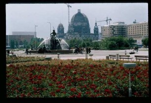 Dom / Neptun 27.6.78.