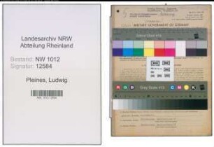 Entnazifizierung Ludwig Pleines , geb. 15.08.1890 (Landwirt)