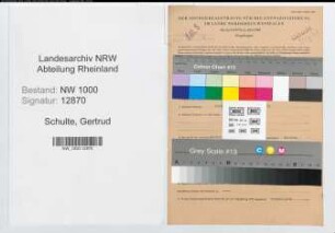 Entnazifizierung Gertrud Schulte, geb. 17.02.1895 (Postsekretaerin)