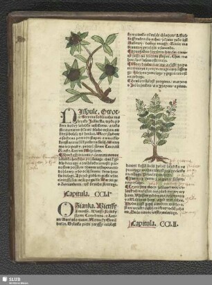 [Capitula. CCLI - CCLX]