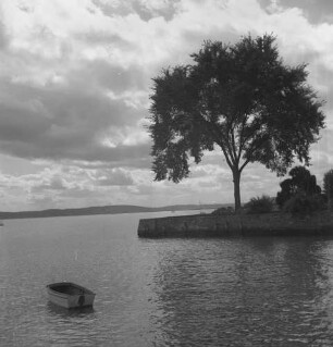 Piermont, Rockland County, Bäume am Hudson