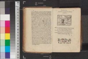 Text mit Illustrationen