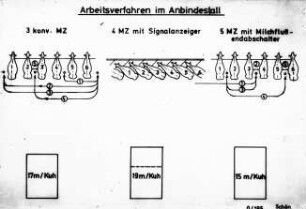 Arbeitsverfahren im Anbindestall