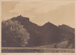 Trifels Anebos Münz