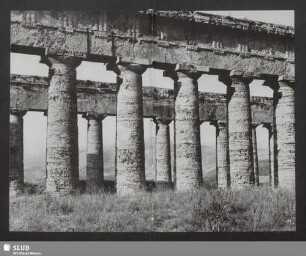Segesta. Der Tempel