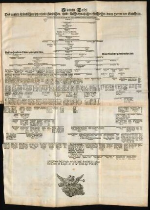 Stamm-Tafel Des uralten Fränckischen/jetzo theils Fürstlichen/ theils Reichs-Gräfflichen Geschlechts deren Herren von Seinsheim