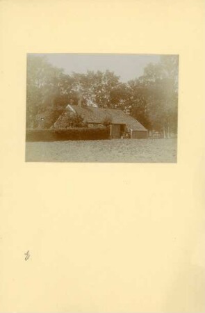 Bauernhaus : Niedersächsisches Bauernhaus. Ansicht über ein Feld.