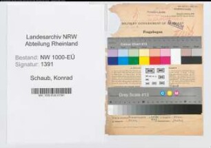 Entnazifizierung Konrad Schaub, geb. 01.05.1899 (Verw.Angest.)