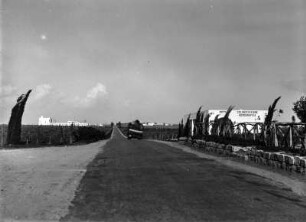 Straße : Gerade Straße zum Stadtzentrum von Oliveti.