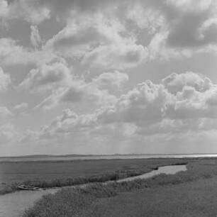 Landschaftsbilder vom Teupitzer See und vom Darß an der Ostsee.