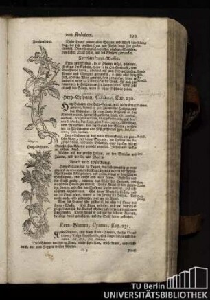 Cap. 231. Korn-Blumen, Cyanus.