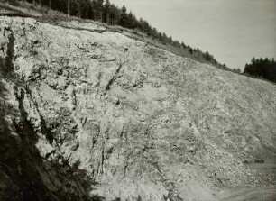 Geisingberg, Basaltbruch. Wand des Steinbruchs mit Verwitterungsschicht