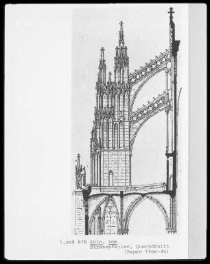 Dom, Strebepfeiler, Querschnitt