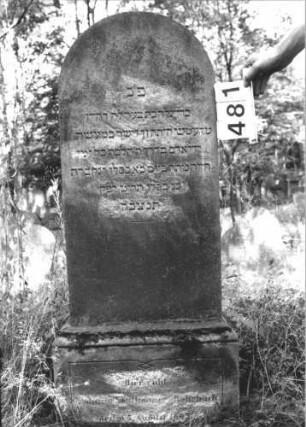 Grabstein 481