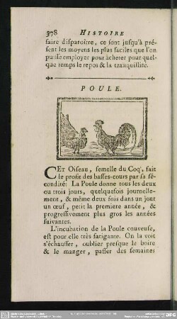 Poule
