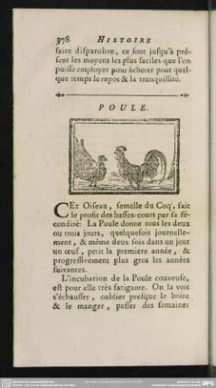Poule