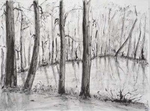 Teich - Schilbach