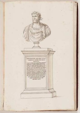 Bildnisbüste des römischen Kaisers Celsus, in: Series continuata omnium Imperatorum [...], Bd. 1, Bl. 77