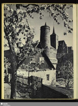 2 Alte Wasserkunst und Michaeliskirche