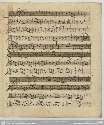 Anonymus, Canaries, D-Dur