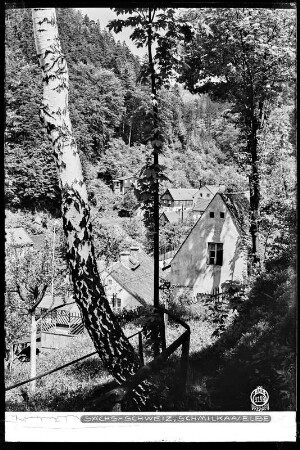 Sächsische Schweiz, Blick auf Schmilka an der Elbe