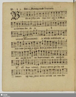 XI. Am 10. Sontage nach Trinitatis: Vnd als Jesus nahe hinzu kam