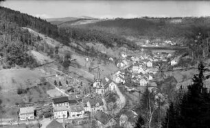 Blick auf Krippen an der Elbe