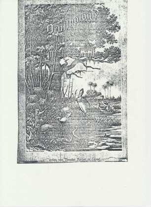 Kopie des Buchdeckels von Ornithologie Nordost-Afrikas von Theodor v. Heuglin