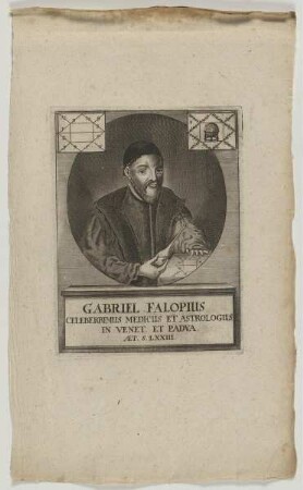 Bildnis des Gabriel Falopius