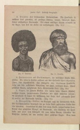 Fig. 10. Papuane. Fig. 11. Draviba.
