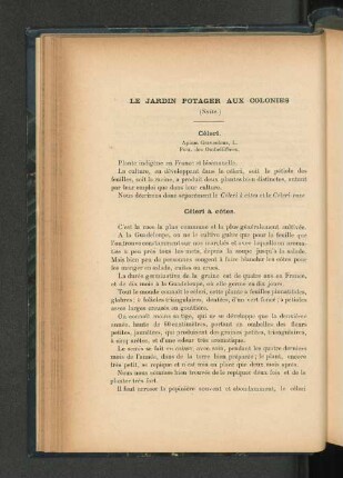Le jardin potager aux colonies