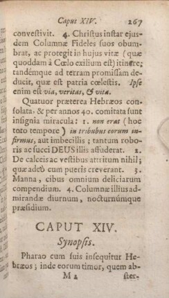 Caput XIV. Synopsis. Pharo cum suis insequitur Hebraeos ; inde eorum timor, quem abstergere laborat Moyses.