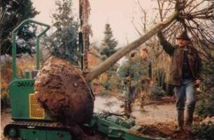 Fotografie: Obstbau, Pflanztechnik