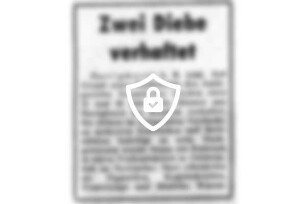 Zwei Diebe verhaftet