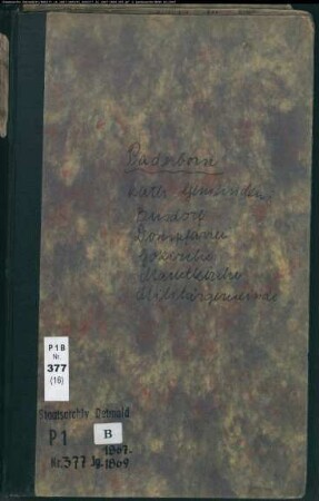 Kirchenbuchduplikat der katholischen Gemeinden in Paderborn, Kreis Paderborn (GHT 1867-1869) (Gemeinde: Katholische Gemeinden Paderborn )