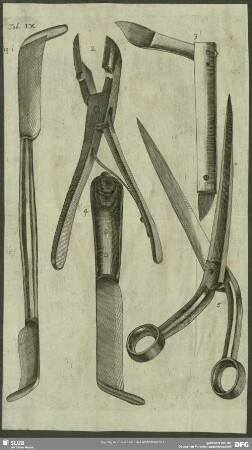 Tab. IX. Fig. 1 - 5